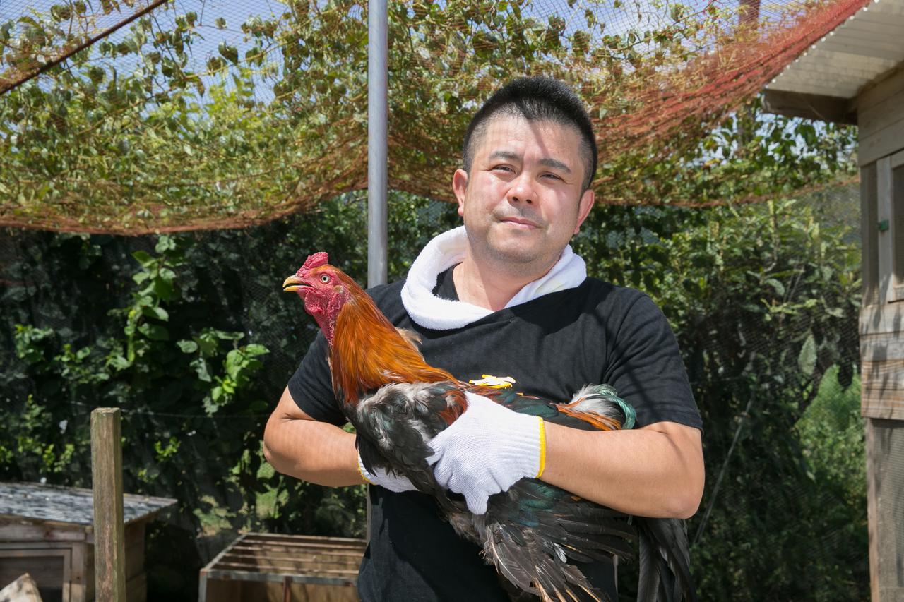 Sazareishi Takashima Hotel Nobeoka Eksteriør billede